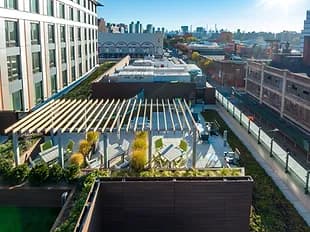 Rooftop patio with vegetation and seating